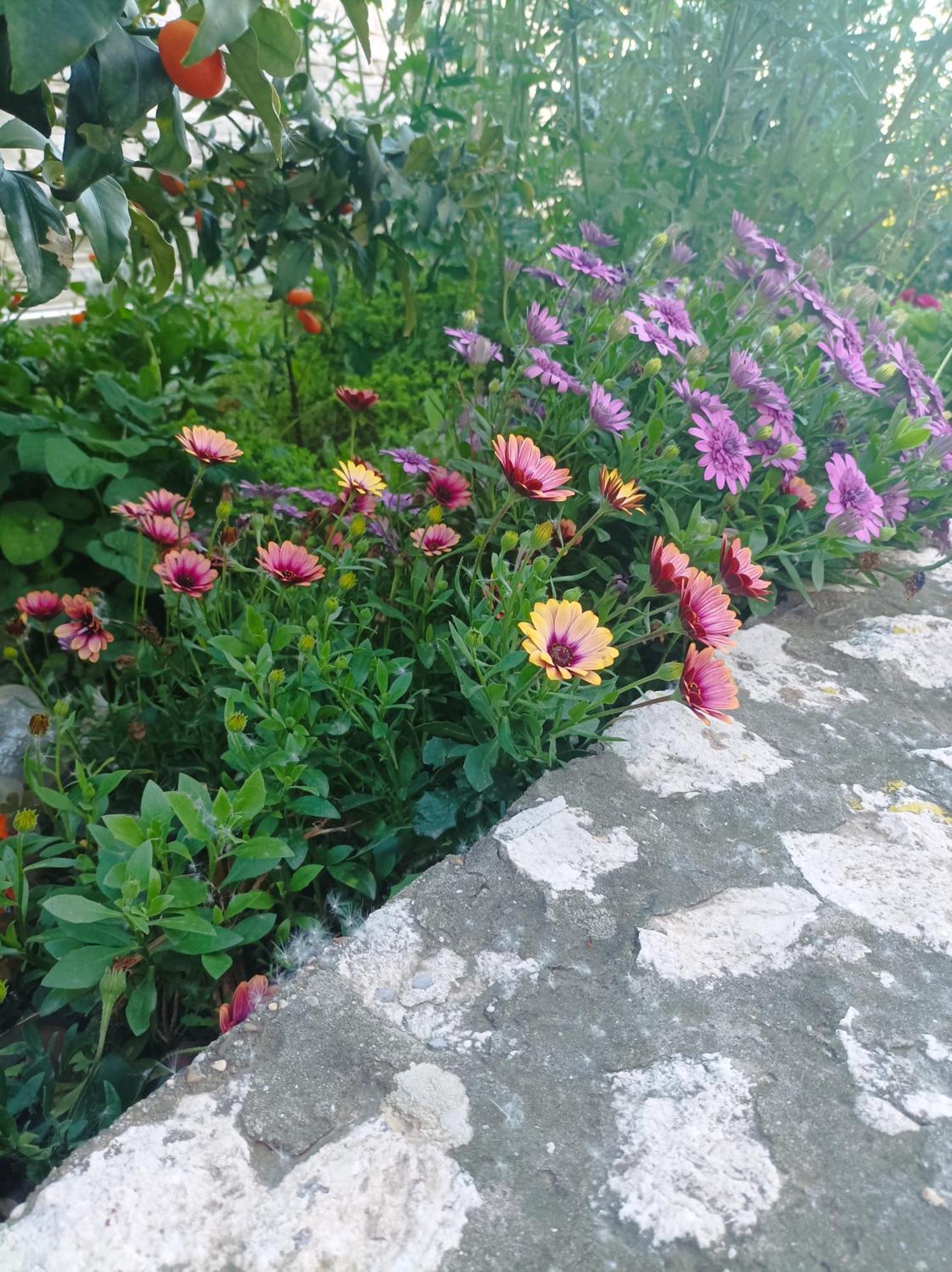 Apartament Dva Lava Podaca Zewnętrze zdjęcie