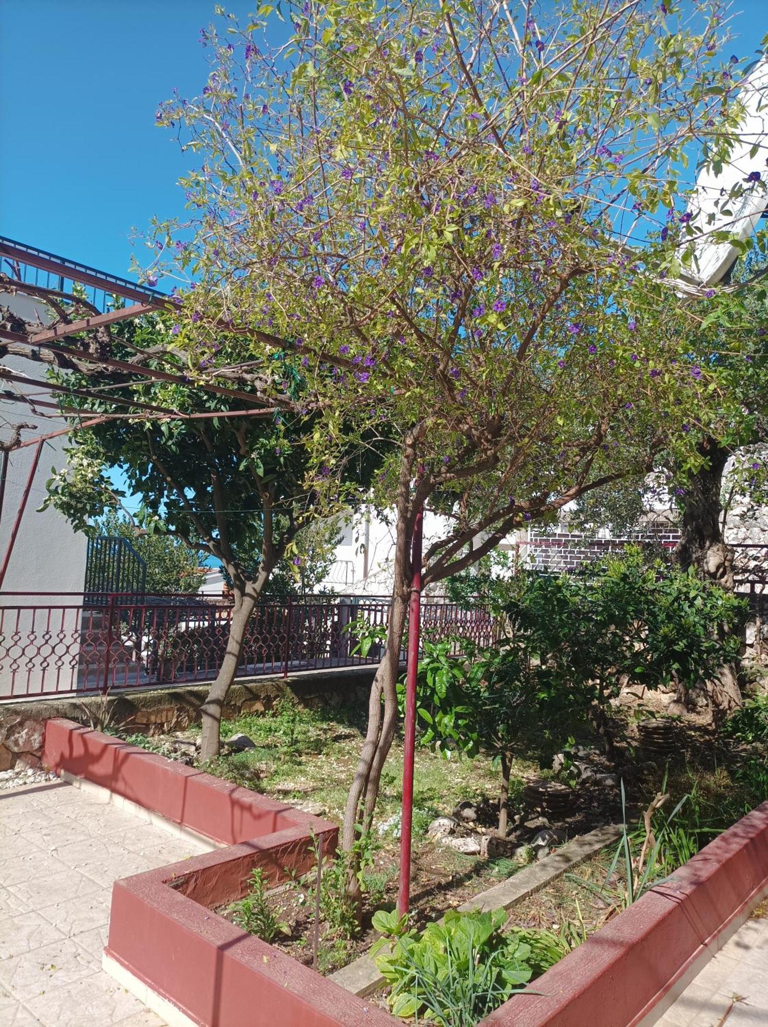 Apartament Dva Lava Podaca Zewnętrze zdjęcie